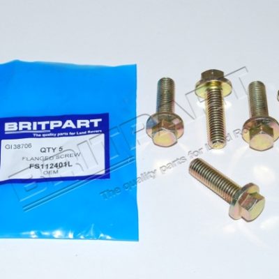 FLANGED SCREW